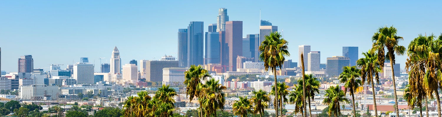 Terms and Conditions